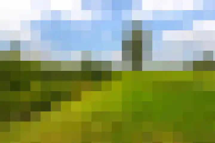 Dokter A. Booijstraat 45 Leerbroek thumbnail 33