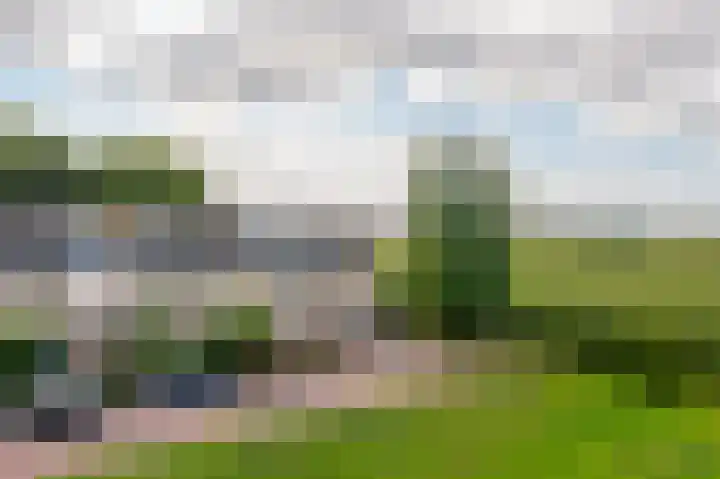 Dokter A. Booijstraat 45 Leerbroek thumbnail 35