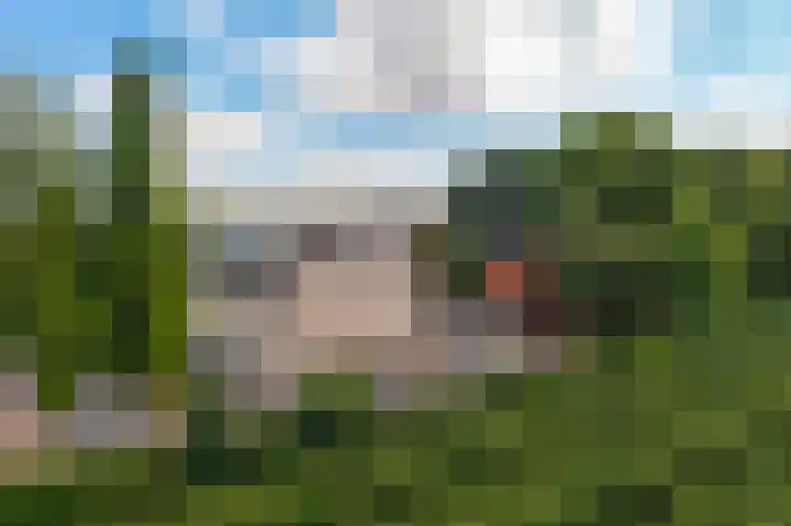Dokter A. Booijstraat 45 Leerbroek thumbnail 38
