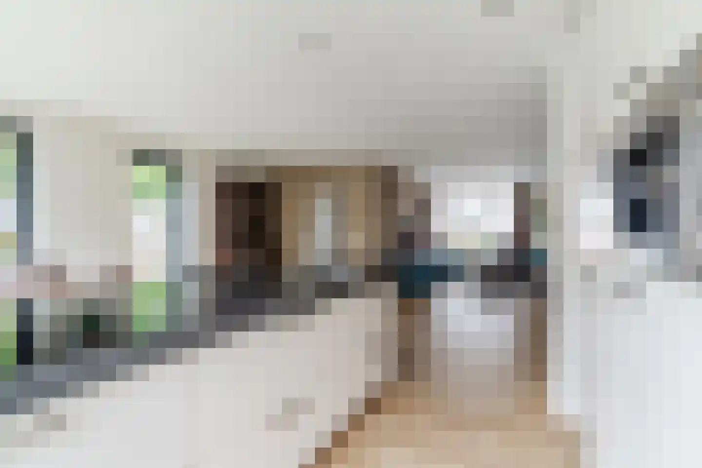 Dokter A.Hoynck van Papendrechtstraat 16 Bergeijk thumbnail 16