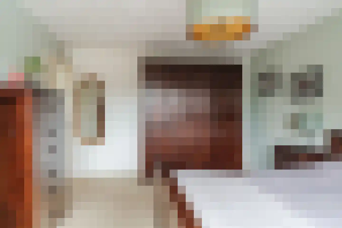 Dokter A.Hoynck van Papendrechtstraat 16 Bergeijk thumbnail 19