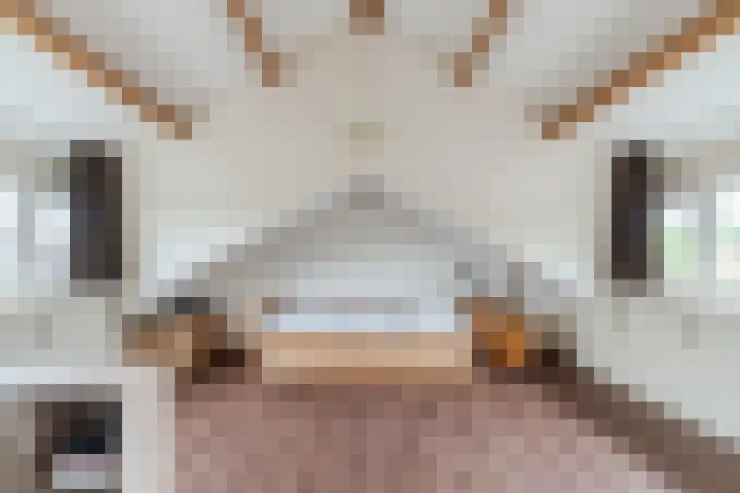 Dokter A.Hoynck van Papendrechtstraat 16 Bergeijk thumbnail 28