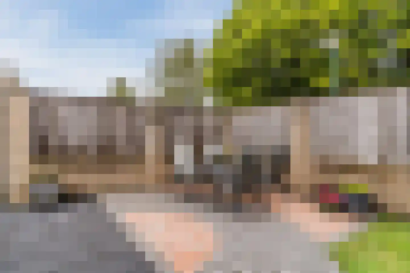 Dokter A.Hoynck van Papendrechtstraat 16 Bergeijk thumbnail 33