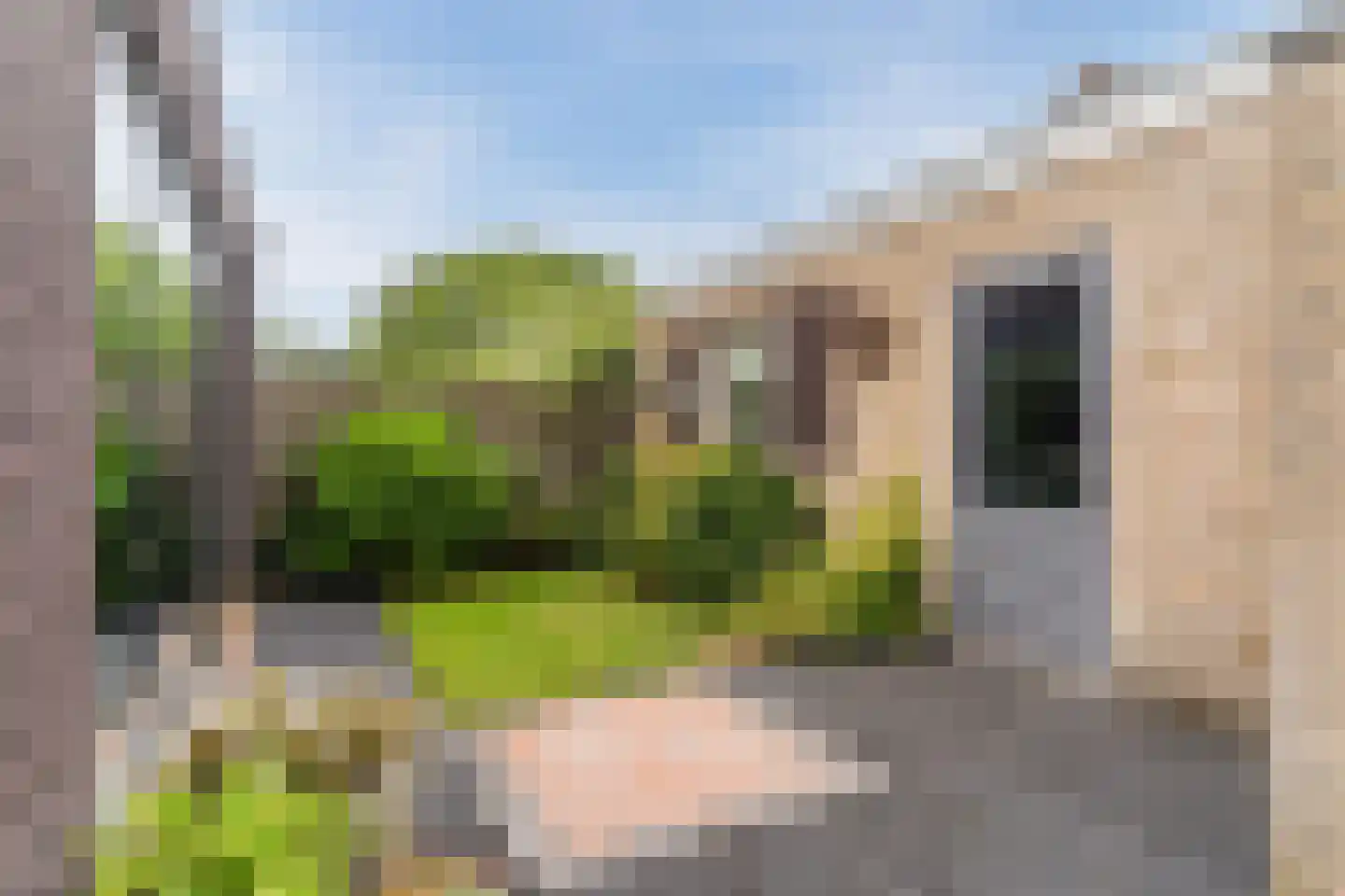 Dokter A.Hoynck van Papendrechtstraat 16 Bergeijk thumbnail 36