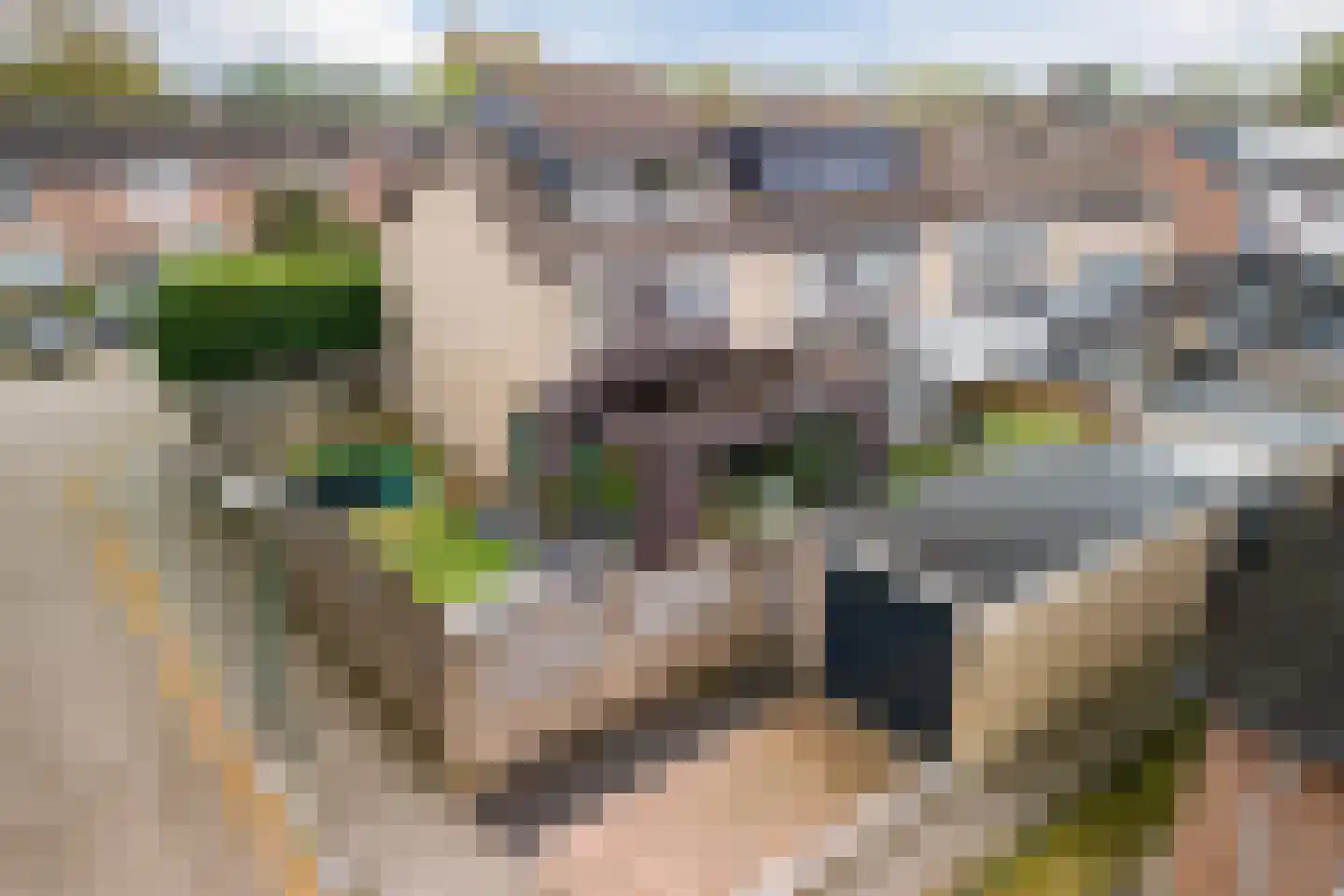 Dokter A.Hoynck van Papendrechtstraat 16 Bergeijk thumbnail 4
