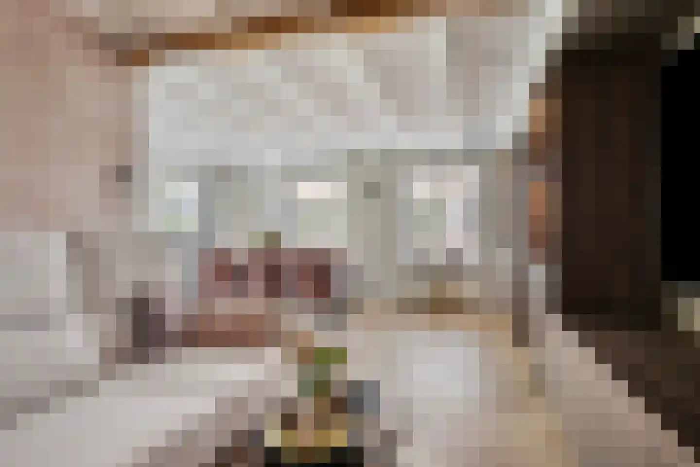 Dokter A.Hoynck van Papendrechtstraat 2 Bergeijk thumbnail 11