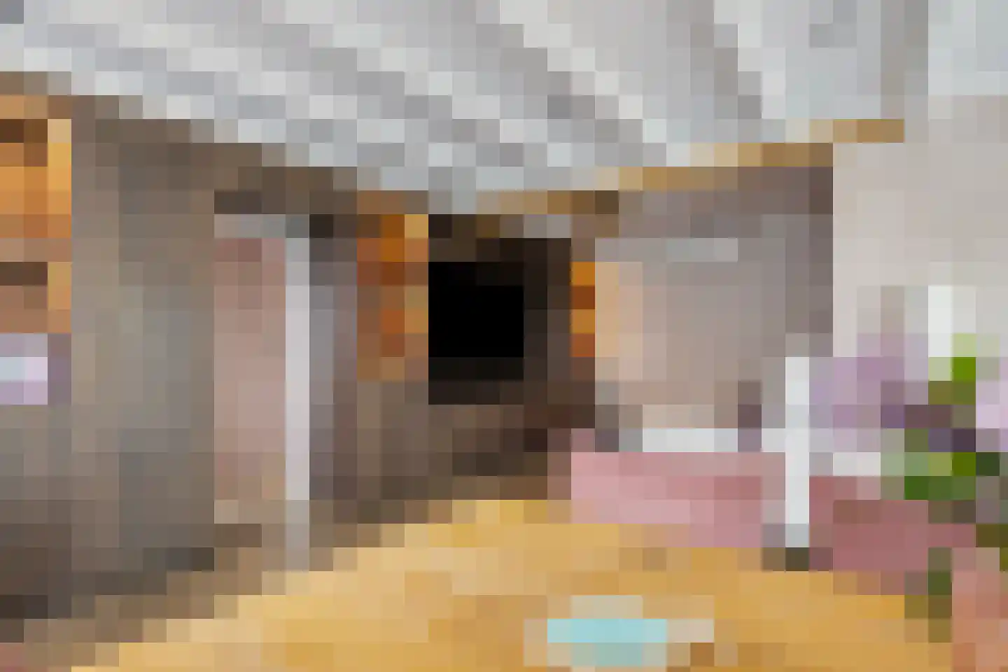 Dokter A.Hoynck van Papendrechtstraat 2 Bergeijk thumbnail 12