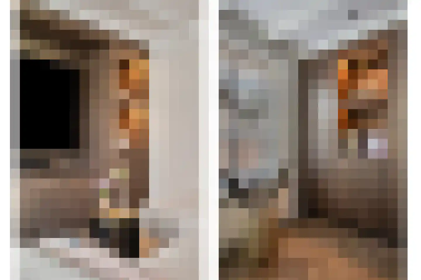 Dokter A.Hoynck van Papendrechtstraat 2 Bergeijk thumbnail 13