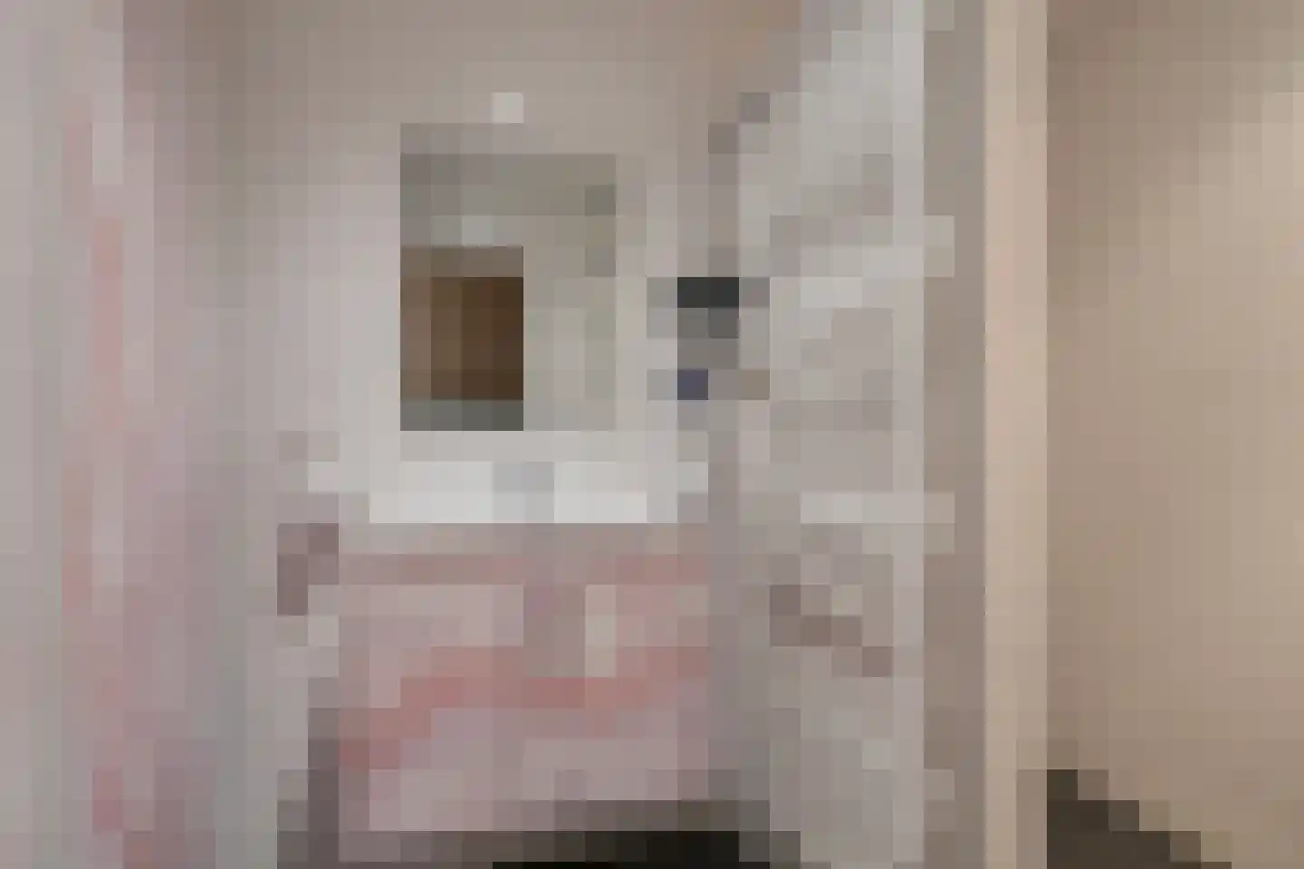 Dokter A.Hoynck van Papendrechtstraat 2 Bergeijk thumbnail 19
