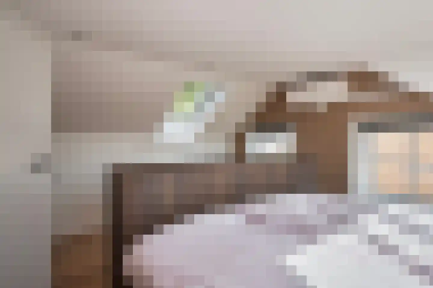 Dokter A.Hoynck van Papendrechtstraat 2 Bergeijk thumbnail 22