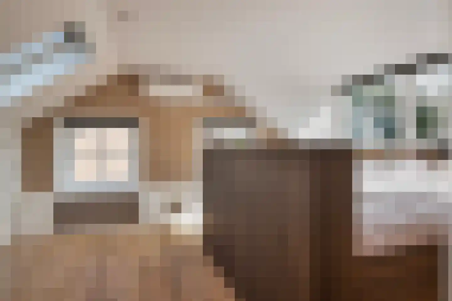 Dokter A.Hoynck van Papendrechtstraat 2 Bergeijk thumbnail 23
