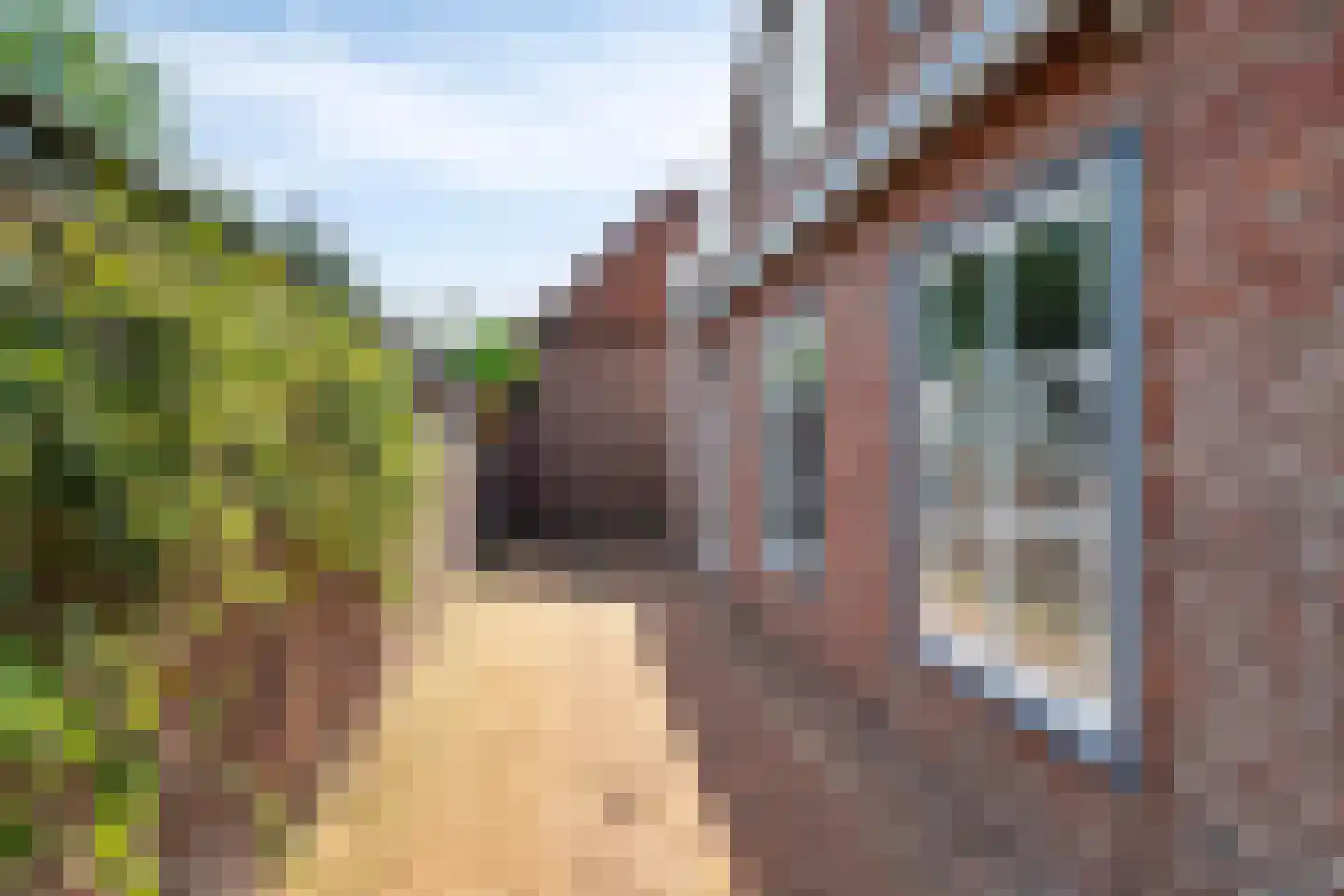 Dokter A.Hoynck van Papendrechtstraat 2 Bergeijk thumbnail 29