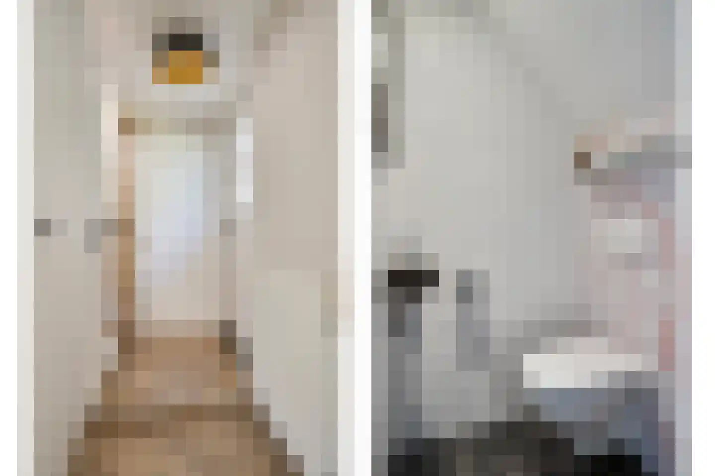 Dokter A.Hoynck van Papendrechtstraat 2 Bergeijk thumbnail 5