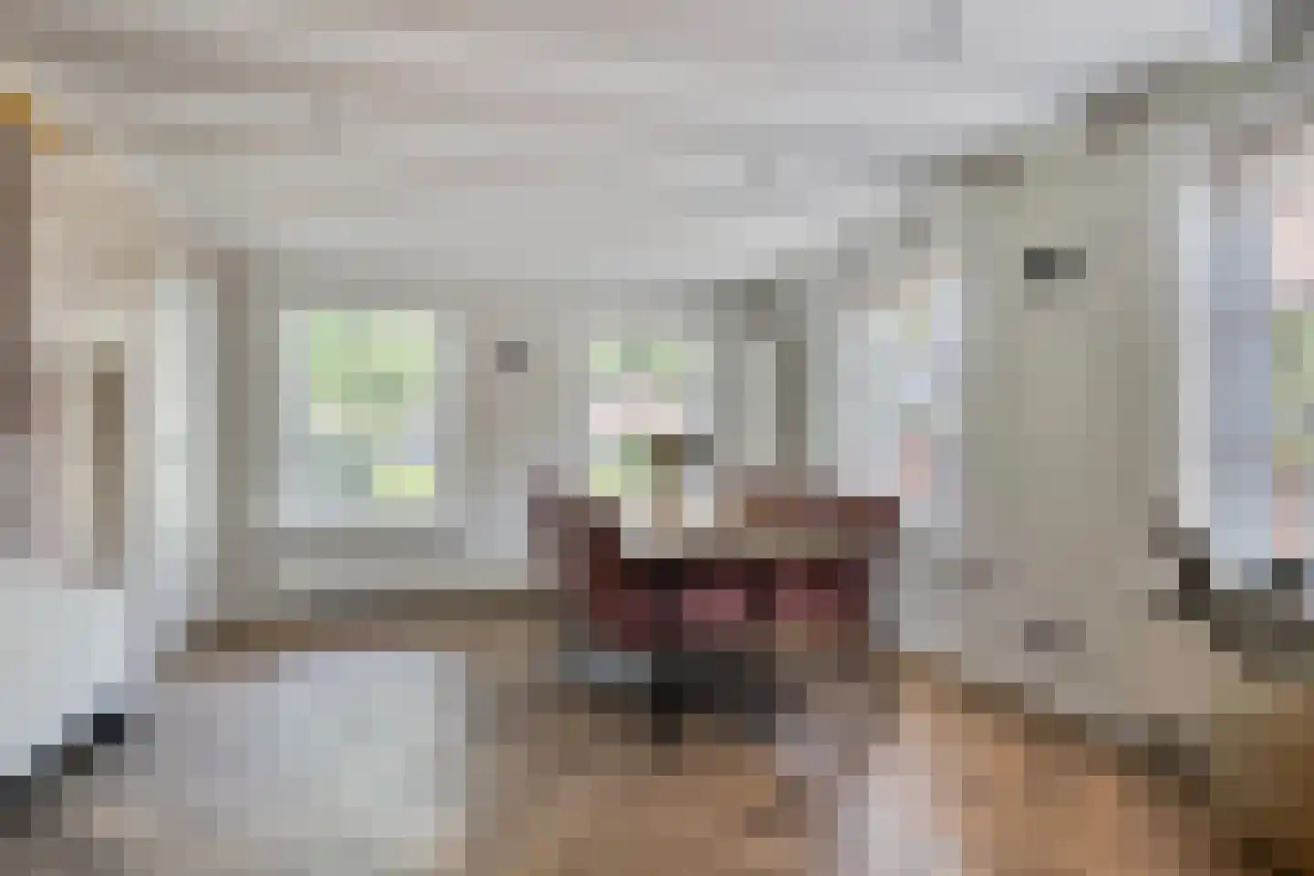 Dokter A.Hoynck van Papendrechtstraat 2 Bergeijk thumbnail 6
