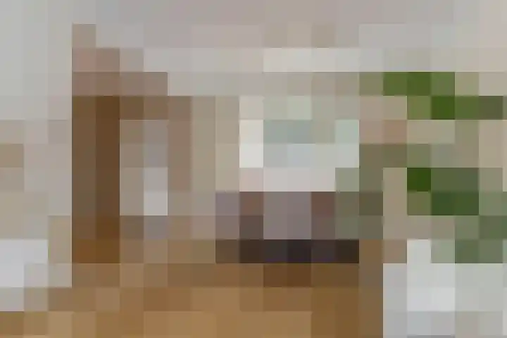 Dokter A.Hoynck van Papendrechtstraat 23 Bergeijk thumbnail 10