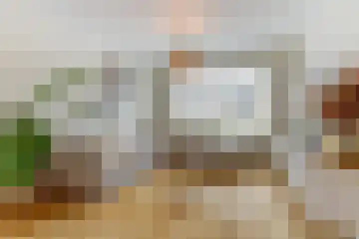 Dokter A.Hoynck van Papendrechtstraat 23 Bergeijk thumbnail 11