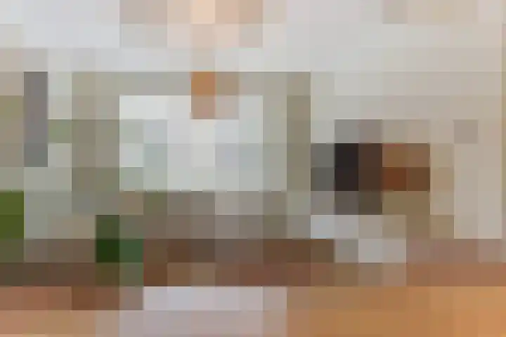 Dokter A.Hoynck van Papendrechtstraat 23 Bergeijk thumbnail 12