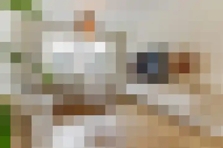 Dokter A.Hoynck van Papendrechtstraat 23 Bergeijk thumbnail 13
