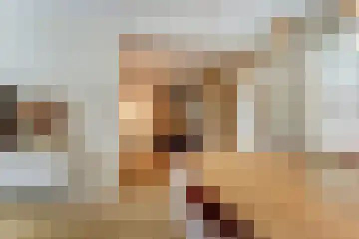 Dokter A.Hoynck van Papendrechtstraat 23 Bergeijk thumbnail 14