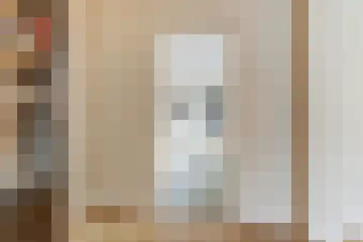 Dokter A.Hoynck van Papendrechtstraat 23 Bergeijk thumbnail 15