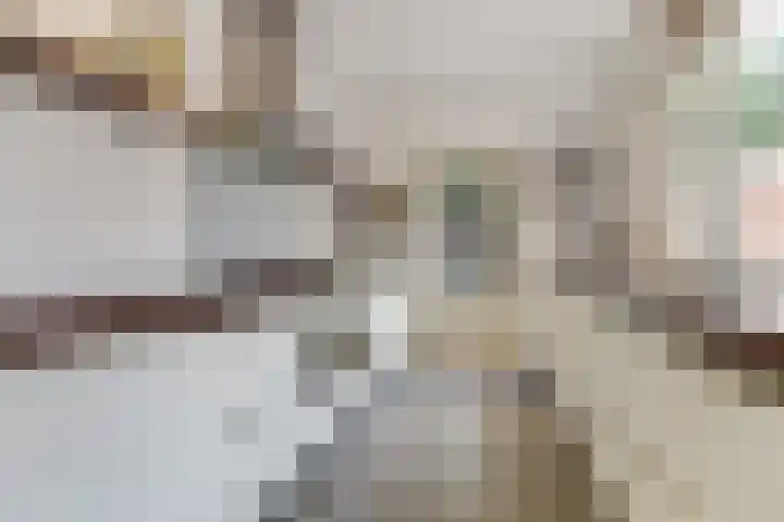 Dokter A.Hoynck van Papendrechtstraat 23 Bergeijk thumbnail 16