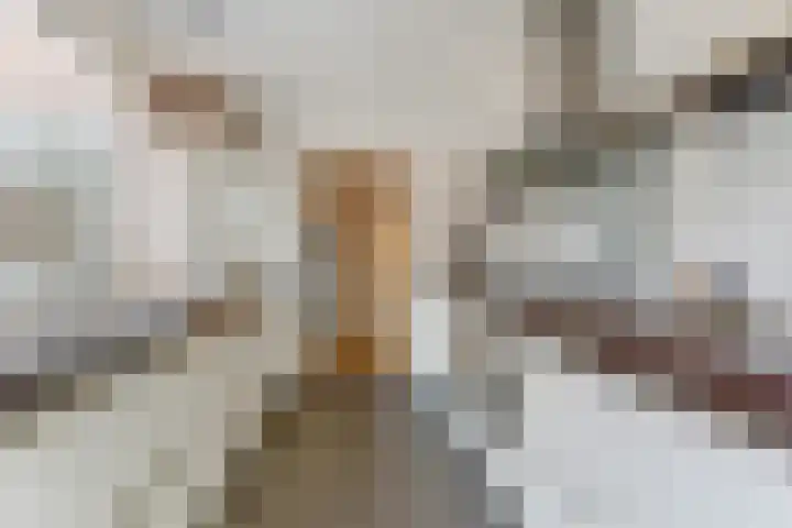 Dokter A.Hoynck van Papendrechtstraat 23 Bergeijk thumbnail 17