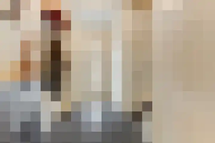 Dokter A.Hoynck van Papendrechtstraat 23 Bergeijk thumbnail 18