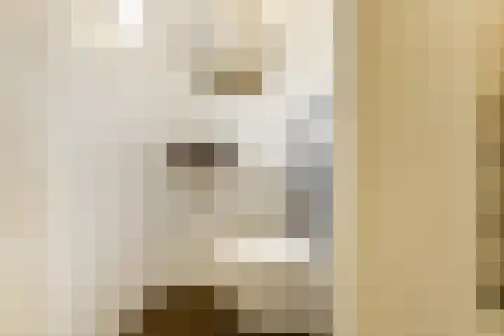 Dokter A.Hoynck van Papendrechtstraat 23 Bergeijk thumbnail 19