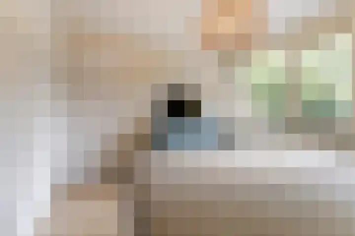 Dokter A.Hoynck van Papendrechtstraat 23 Bergeijk thumbnail 22