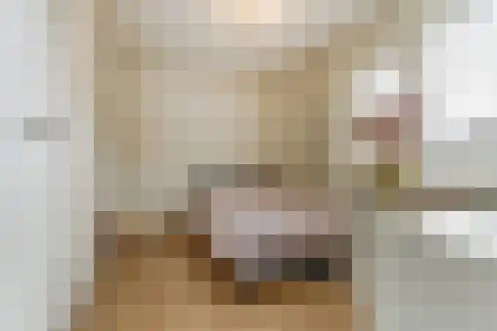 Dokter A.Hoynck van Papendrechtstraat 23 Bergeijk thumbnail 23