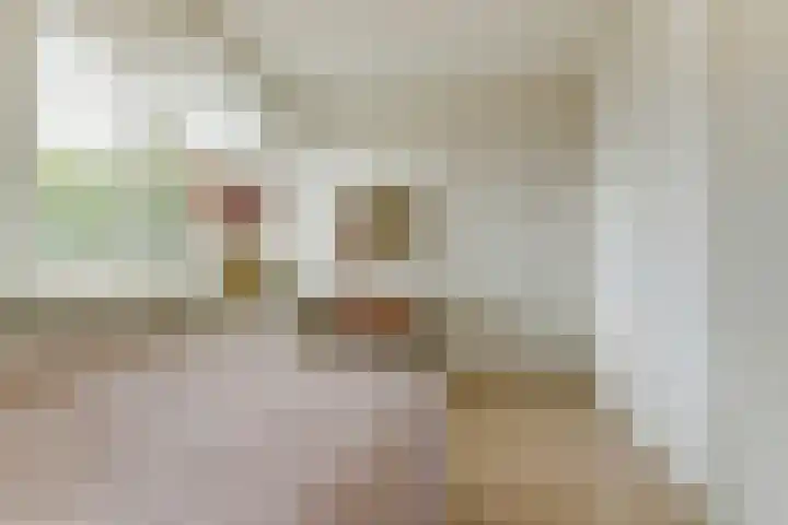 Dokter A.Hoynck van Papendrechtstraat 23 Bergeijk thumbnail 24