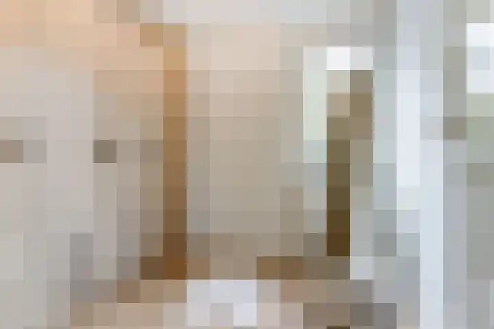 Dokter A.Hoynck van Papendrechtstraat 23 Bergeijk thumbnail 25