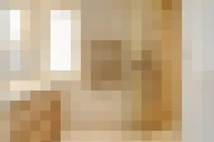 Dokter A.Hoynck van Papendrechtstraat 23 Bergeijk thumbnail 27