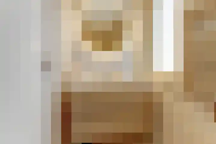 Dokter A.Hoynck van Papendrechtstraat 23 Bergeijk thumbnail 28