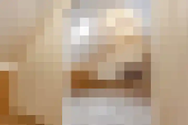 Dokter A.Hoynck van Papendrechtstraat 23 Bergeijk thumbnail 30