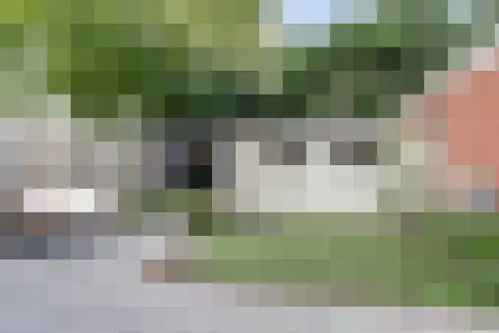 Dokter A.Hoynck van Papendrechtstraat 23 Bergeijk thumbnail 32