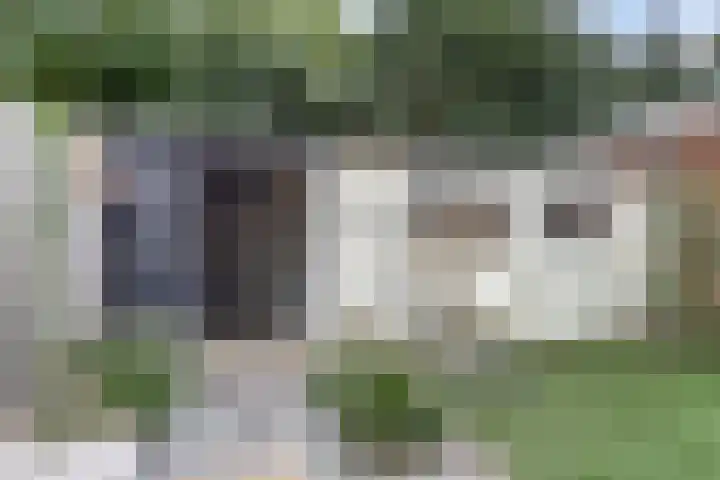 Dokter A.Hoynck van Papendrechtstraat 23 Bergeijk thumbnail 36