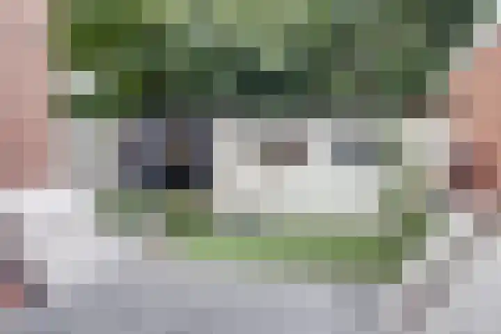 Dokter A.Hoynck van Papendrechtstraat 23 Bergeijk thumbnail 4