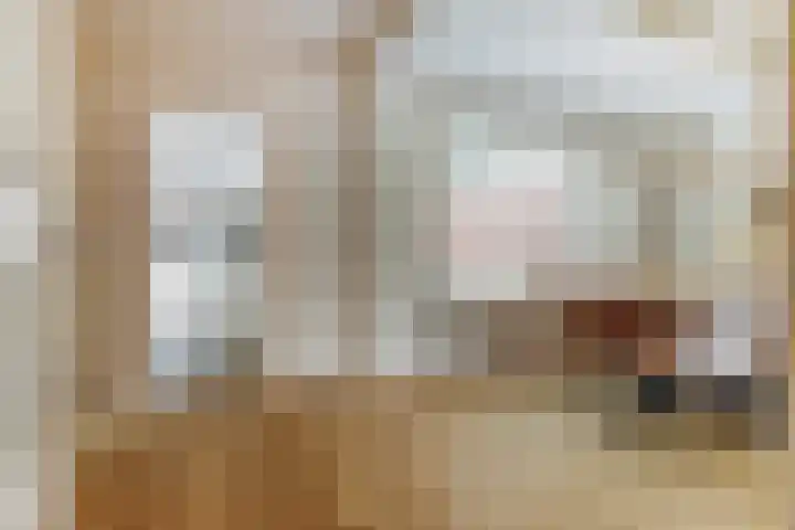 Dokter A.Hoynck van Papendrechtstraat 23 Bergeijk thumbnail 8