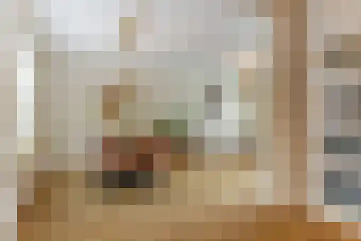 Dokter A.Hoynck van Papendrechtstraat 23 Bergeijk thumbnail 9