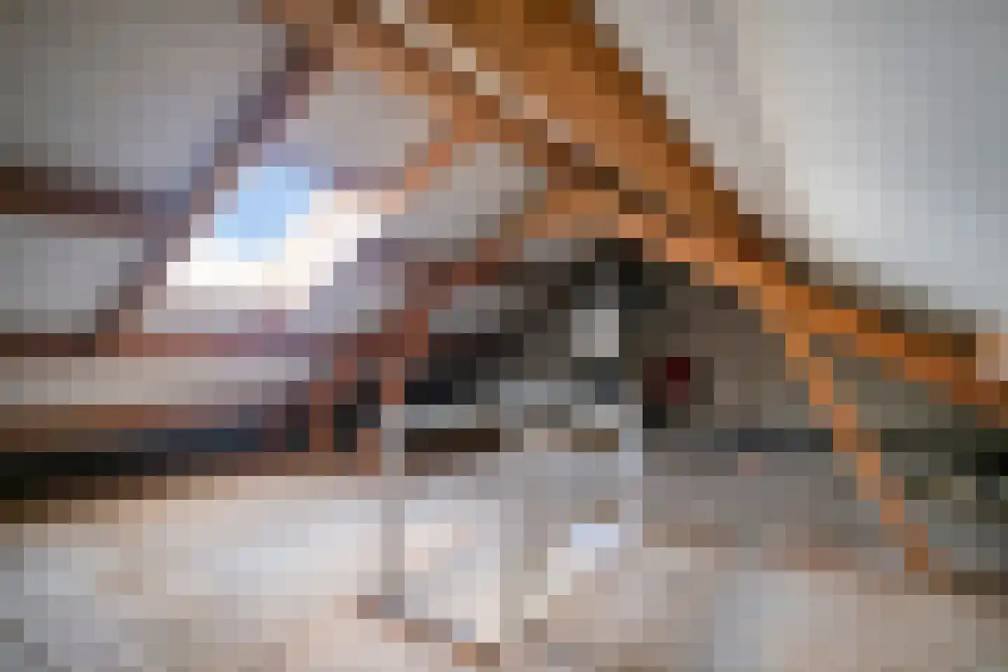 Dokter A.Hoynck van Papendrechtstraat 34 Bergeijk thumbnail 13