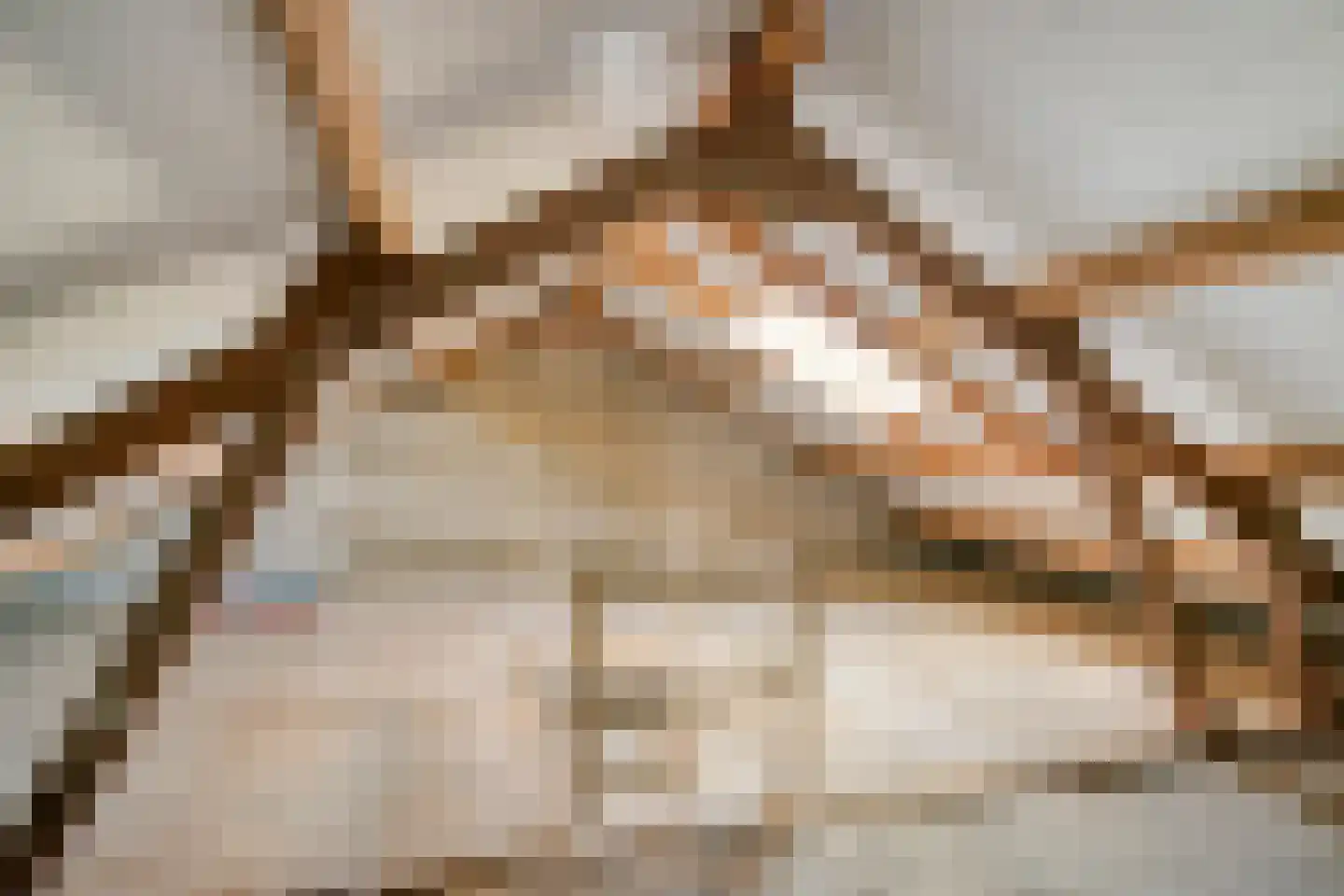 Dokter A.Hoynck van Papendrechtstraat 34 Bergeijk thumbnail 14