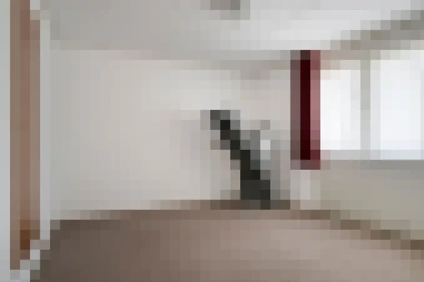 Dokter A.Hoynck van Papendrechtstraat 34 Bergeijk thumbnail 8