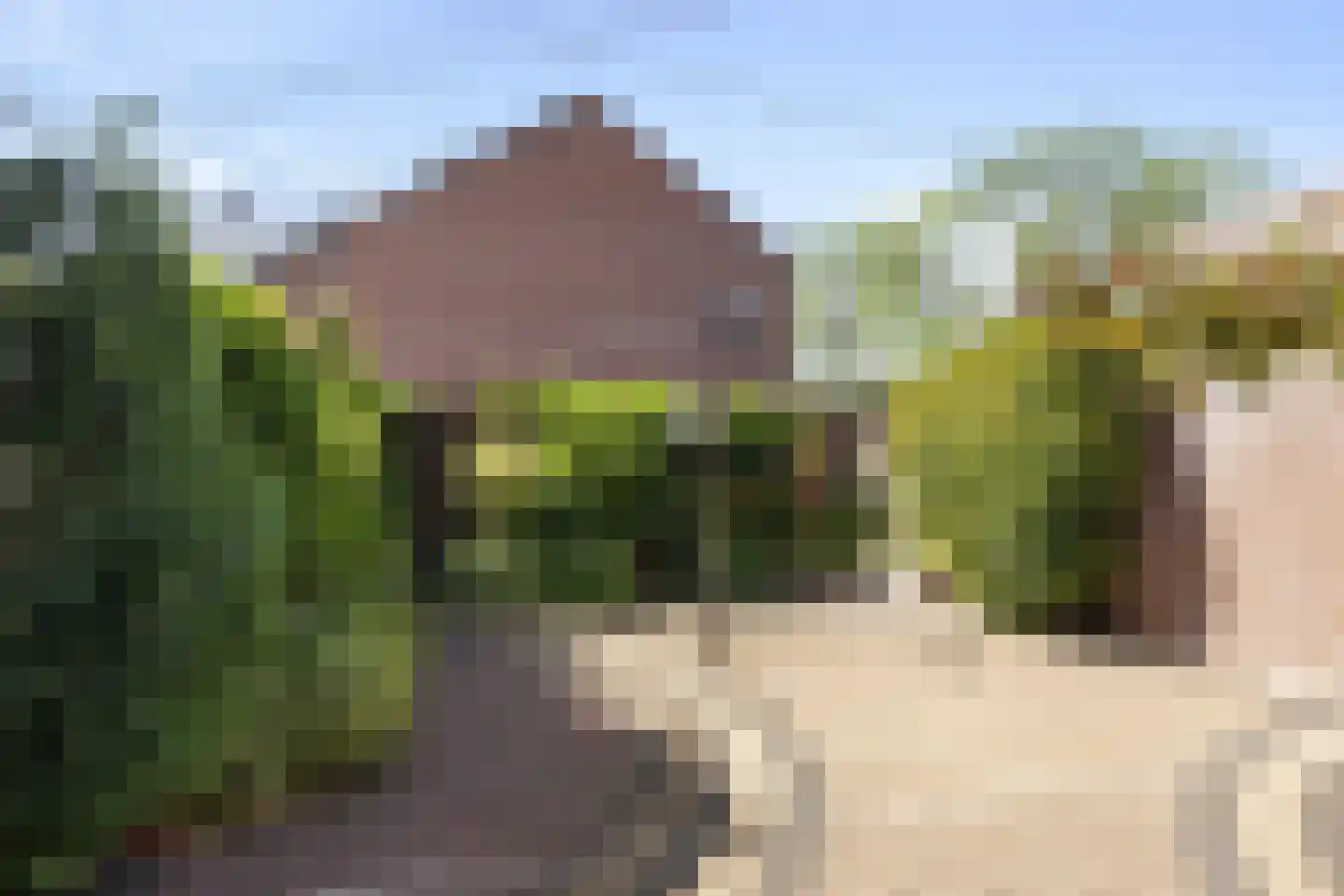 Dokter A.Hoynck van Papendrechtstraat 67 Bergeijk thumbnail 17
