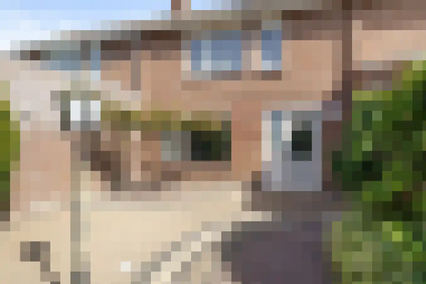 Dokter A.Hoynck van Papendrechtstraat 67 Bergeijk thumbnail 18