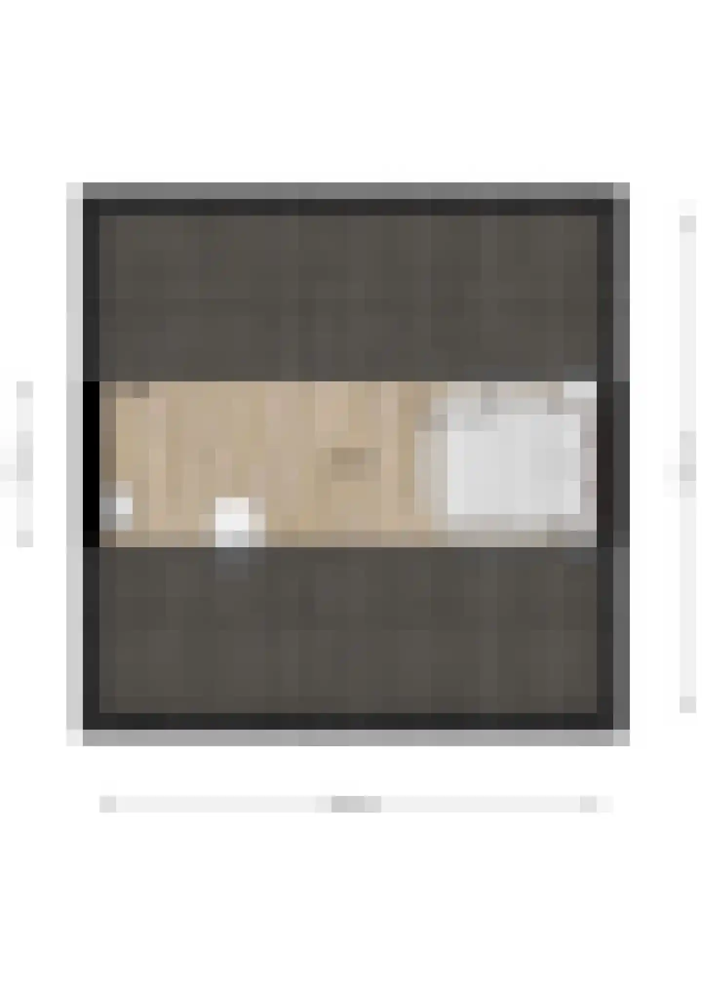Dokter A.Hoynck van Papendrechtstraat 67 Bergeijk thumbnail 24