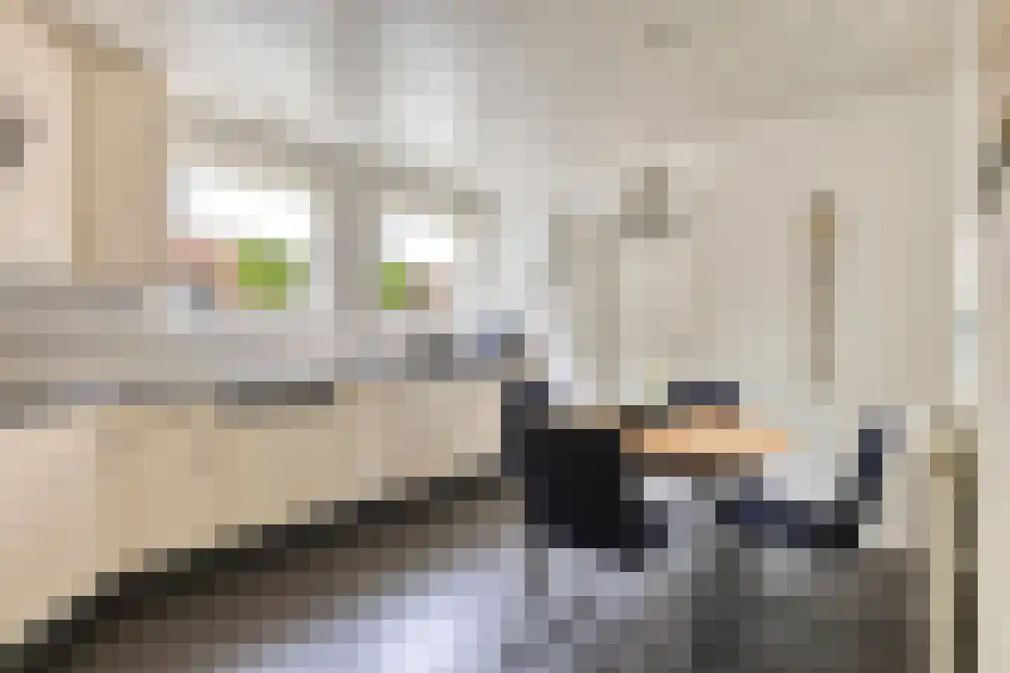 Dokter A.Hoynck van Papendrechtstraat 78 Bergeijk thumbnail 11