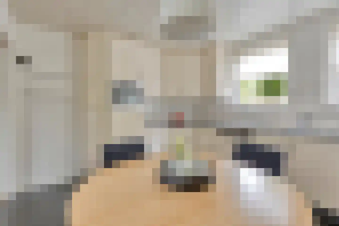 Dokter A.Hoynck van Papendrechtstraat 78 Bergeijk thumbnail 12