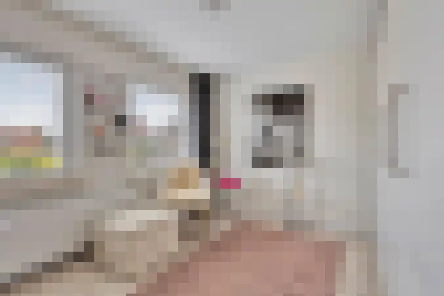 Dokter A.Hoynck van Papendrechtstraat 78 Bergeijk thumbnail 19