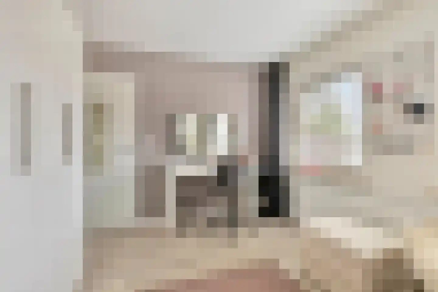 Dokter A.Hoynck van Papendrechtstraat 78 Bergeijk thumbnail 20